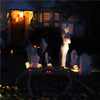 Halloween Spider Giant with LED Glowing Eyes