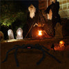 Halloween Spider Giant with LED Glowing Eyes