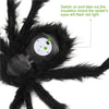 Halloween Spider Giant with LED Glowing Eyes